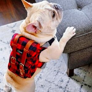 Limited edition: Bark industry Dog backpack harness